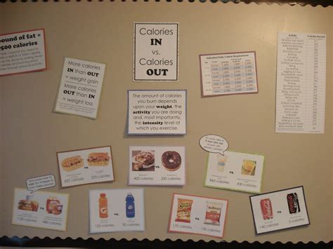 Calories In Vs Calories Out Bulletin Board By Imasewingmachine With