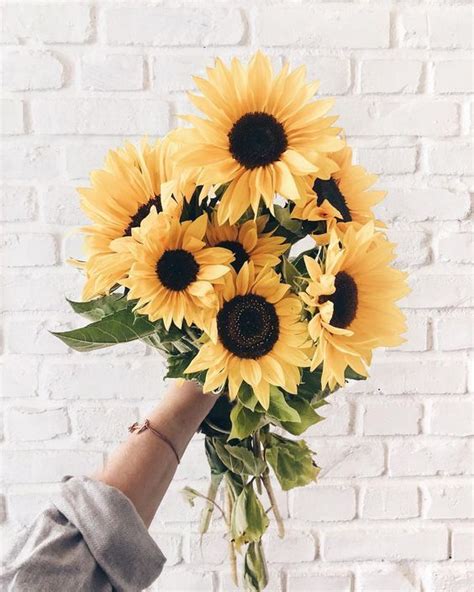 By quotes and wallpaper k di may 25, 2020. Sunflower yellow | Flower aesthetic, Sunflower wallpaper ...