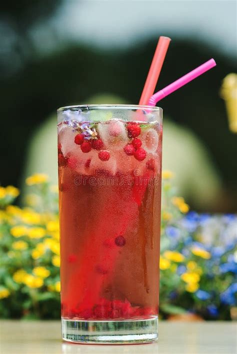 Summer Cold Drink Outdoor Red Freshment Drink With Cowberry And Fresh