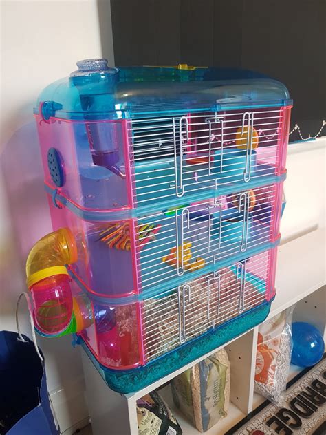 Lazy Bones 3 Storey Complete Dwarf Hamster Cage Blue And Pink Cages