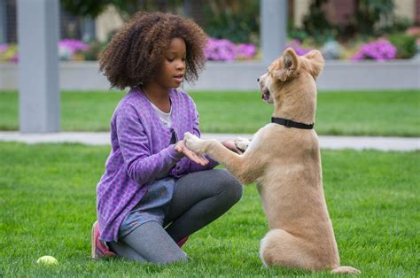 Movie Review Annie Reel Life With Jane