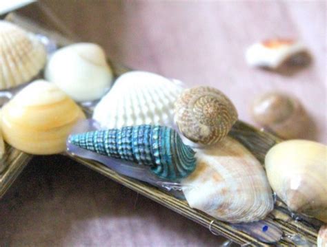 Nautical Seashell Picture Frame Craft Our Wabisabi Life