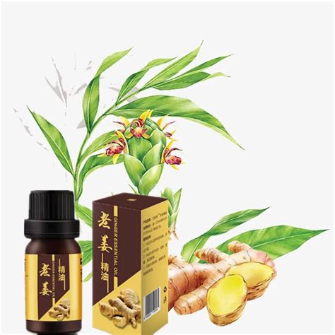 2017 10 days slimming ginger essential oil 10ml bottle stubborn fat burn potent lose weight