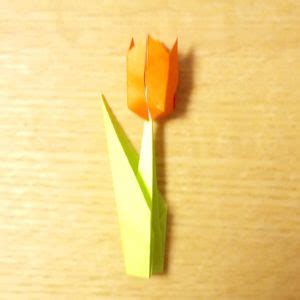 折り紙のあさがおの花のツボミ 立体 折り方、作り方を紹介します。 折り紙簡単チューリップのブーケ折り方解説付きhow to easily fold a tulip with bouquet. チューリップの立体の折り方を簡単に!折り紙の茎も合わせて ...