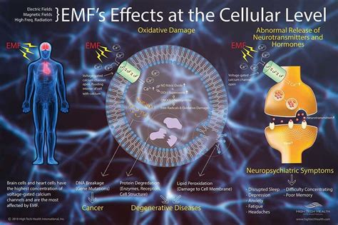What Is Emf Is Emf Bad For You
