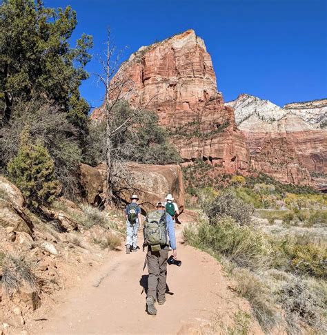 7 Easy Hikes In Zion To Experience The Red Rocks Mortons On The Move