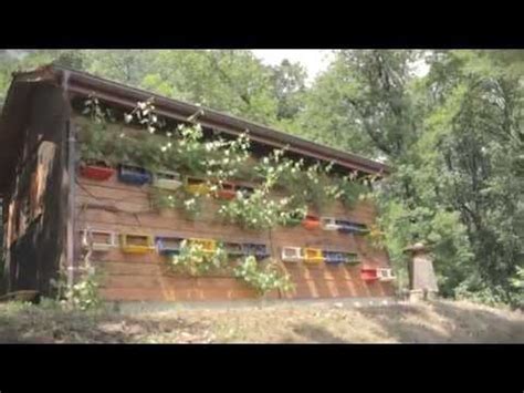 The law on nature protection says that everyone should preserve, rationally use and, if possible, restore natural resources. Rucher de La Coudre - YouTube