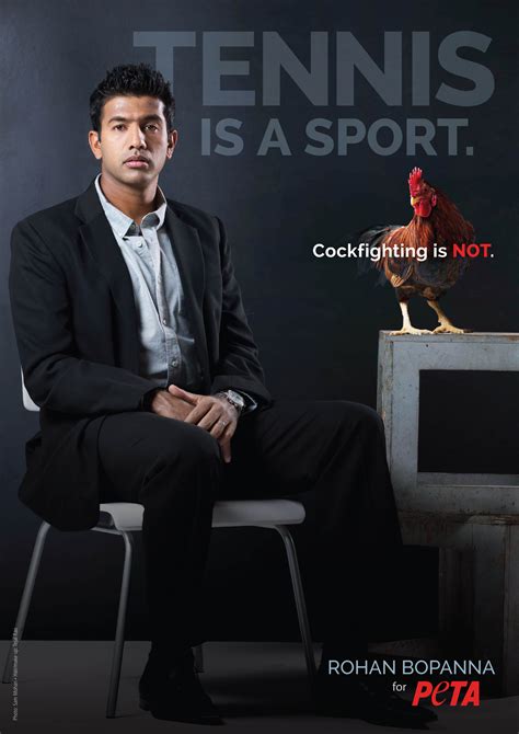Tennis Star Rohan Bopanna Says 'Cockfighting Isn't a Sport'