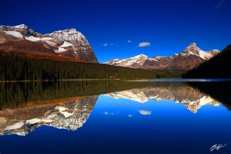 M359 Odaray And Cathedral Mountains Reflected In Lake Ohara Canada