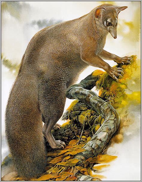 There are 100+ professionals named peter schouten, who use linkedin to exchange information, ideas, and opportunities. Pa Scans CD02 Peter Schouten, Astonishing Animals 35 ...