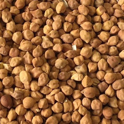 Desi Chick Peas Chana High In Protein At Rs Kilogram In Rajkot Id