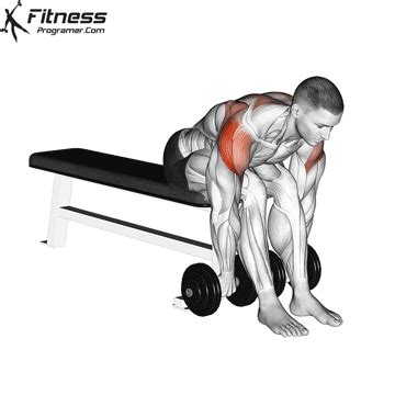 Dumbbell Seated Bent Over Rear Delt Row Workout Planner
