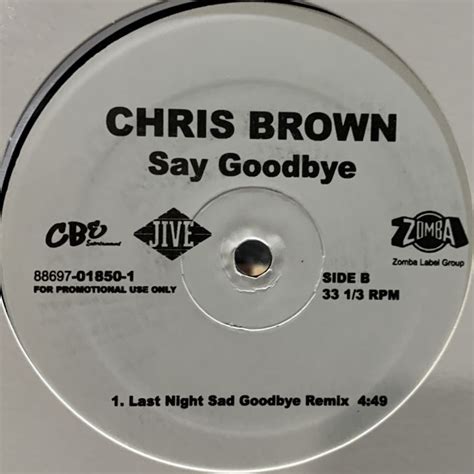Chris Brown Say Goodbye 12 新品！！ Fatman Records