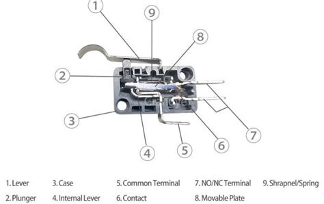 Micro Switch Construction Archives Zing Ear