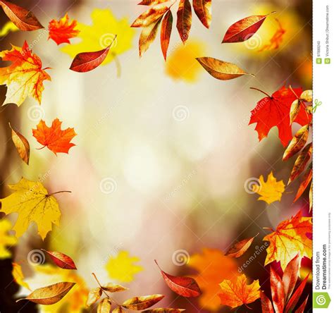 Autumn Background With Beautiful Falling Leaves And Bokeh