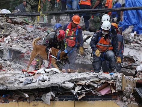 656 отметок «нравится», 52 комментариев — jose agustin muhlia montero (@virusventor) в instagram: ¿Se espera un sismo de mayor intensidad en la CDMX? La UNAM responde