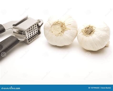 Garlic Press And Two Cloves Of Garlic Stock Photo Image Of Closeup