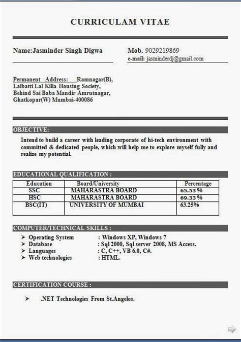 Zoology resume chemistry major resume simple resume format job basic … resume format for a fresher beautiful vita resume example. BSC IT Resume Format