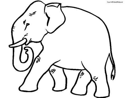Referat elefant bilderzum ausmalen / das grosste und schwerste tier der welt nube : Referat Elefant Bilderzum Ausmalen : Ausmalbilder Elefant ...