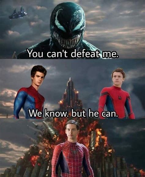 29 Memes For Anyone Who Grew Up With Tobey Maguires Spider Man Funny
