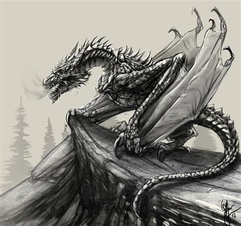 Gerard studies a variety of creatures to create a truly unique and convincing dragon drawing (image credit: Dragon sketch by ShaneTyreeArt.deviantart.com on ...