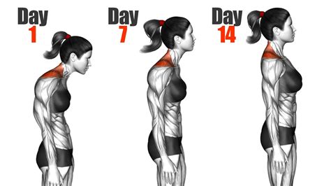 How To Fix Your Posture In 2 Weeks 10 Home Exercises To Correct Your Posture Youtube