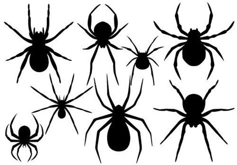 Halloween Spider Vector Graphicssilhouette Clip Art Halloween Art