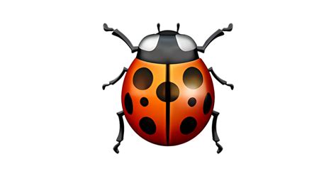 Lady Beetle Emoji Meaning Copy Paste