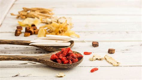 6 common traditional chinese medicine herbs and how to use them the singapore women s weekly