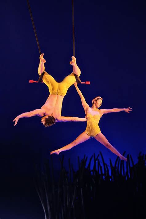 Cirque Du Soleil Aerial Acrobatics Aerial Dance Aerial Silks Boris Vallejo Nocturne Aerial