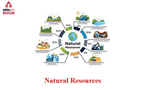 Types Of Natural Resources With Examples