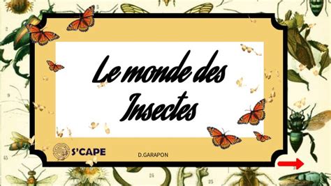 Final Le Monde Des Insectes