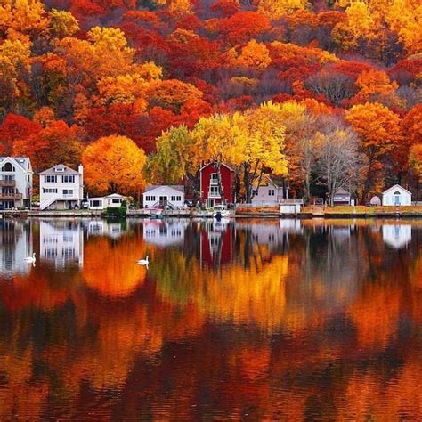 20 Breathtaking Trees That Set The Scene For Fall Autumn Scenery