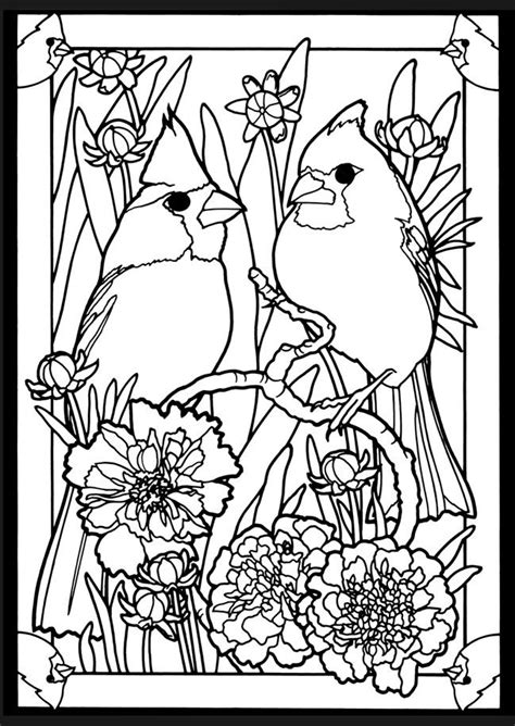 Designate the cardinal as their state bird, and there are countless team logos that feature the cardinal. Birds 4 | Coloring pages, Coloring books, Coloring pictures