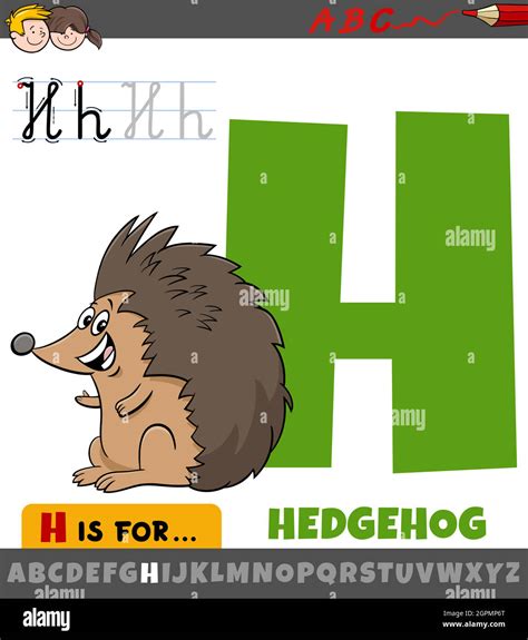 Letter H From Alphabet With Cartoon Hedgehog Animal Stock Vector Image