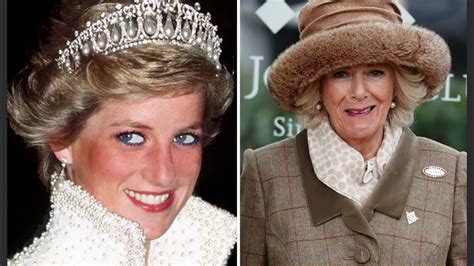 The Real Reason Queen Camilla Disliked Princess Diana Unraveling the