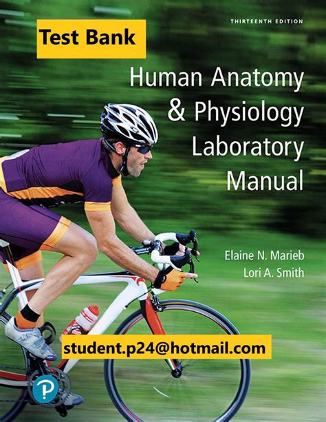 Human Anatomy And Physiology Laboratory Manual 13th Marieb Test Bank