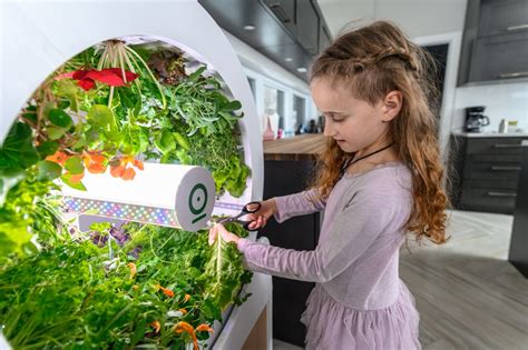 Smart Indoor Gardens That Make Gardening Easily And Accessible With