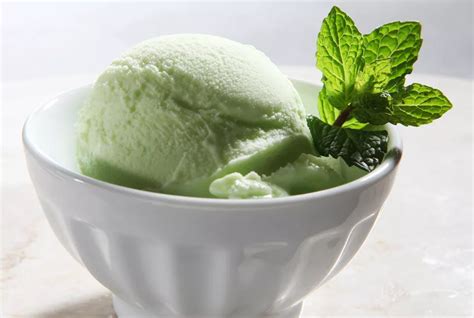 Homemade Lime Sherbet Recipe In 2020 Sherbet Recipes Lime Sherbet