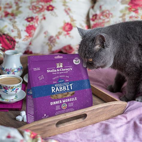 The great cat food debate: Stella & Chewy's Freeze-Dried Raw Absolutely Rabbit Dinner ...