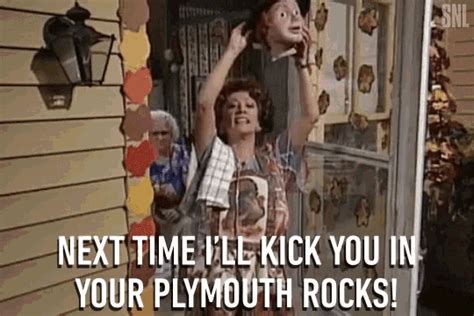 Next Time Ill Kick You In Your Plymouth Rocks Angry  Next Time Ill