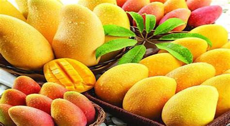 Alamat ng Mangga