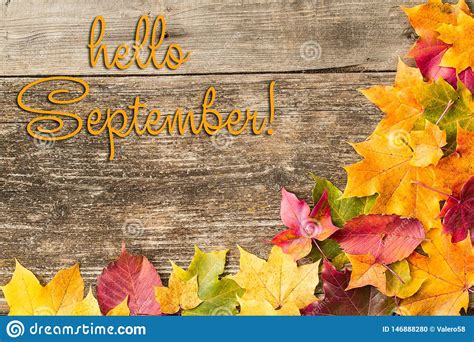 Hello September Lettering Card. Concept Of The Fall Season Stock ...