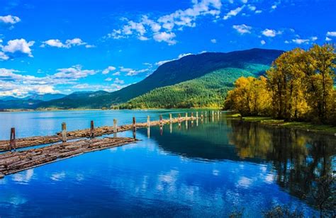 Fraser River British Columbia Stock Photo Download Image Now Istock