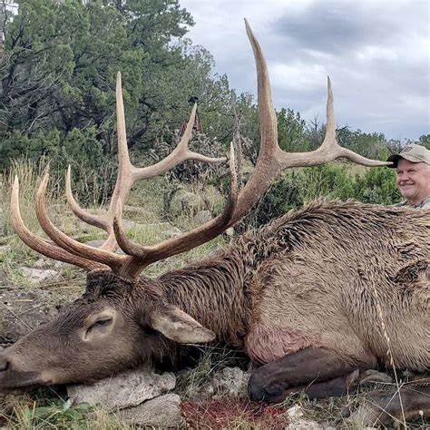 Rifle Elk Hunting In Nm With Compass West Outfitters Compass West