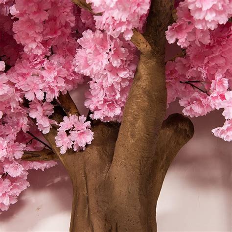 China Indoor Cherry Blossom Trees For Sale Suppliers Manufacturers