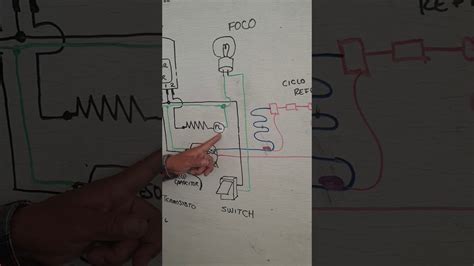 Diagrama Eléctrico De Un Refrigerador Doméstico Youtube