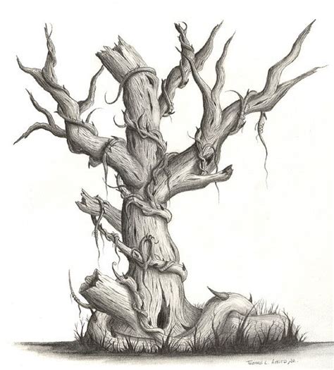 Original Drawing Pencil Dead Tree By Magecraft On Etsy