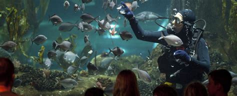 The National Aquarium Of New Zealand Napier