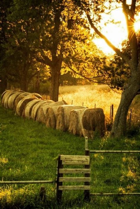 Pin By Becky Cagwin On Country Life In 2020 Country Scenes Country